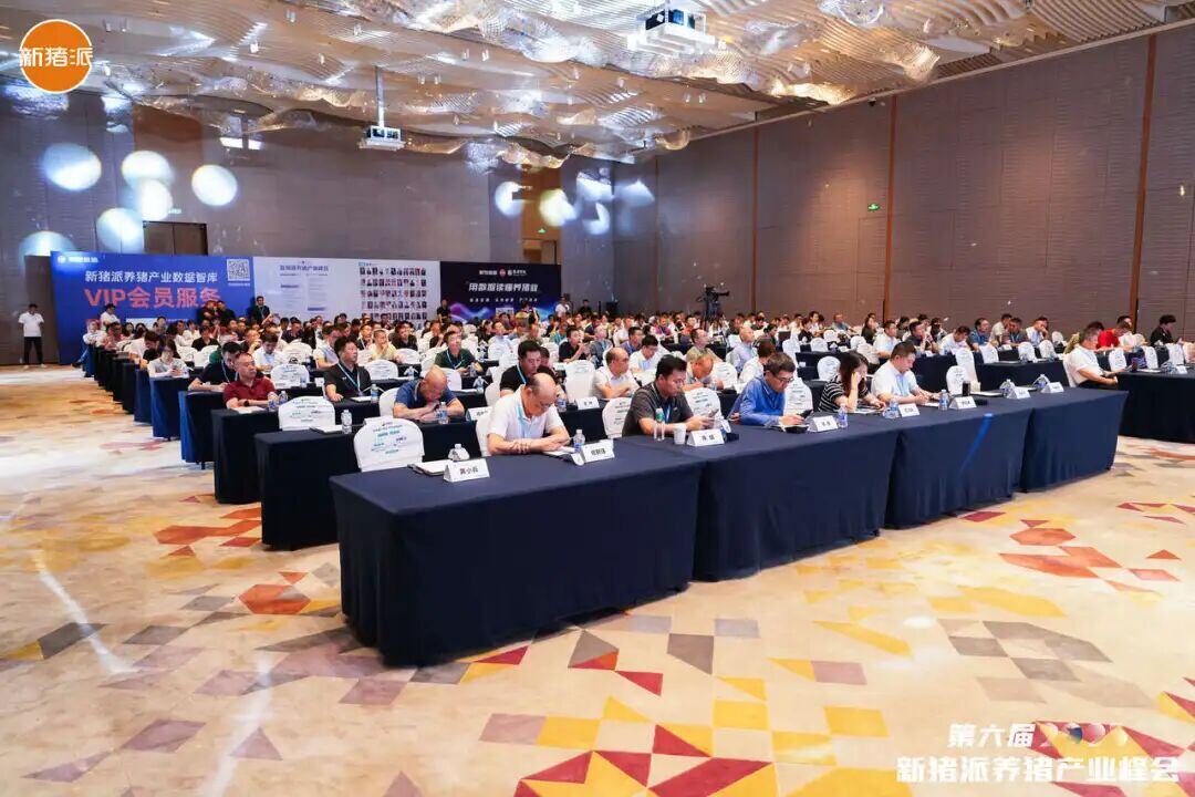 新猪派产业数据智库正式发布,为行业决策提供精准洞察的“慧眼”