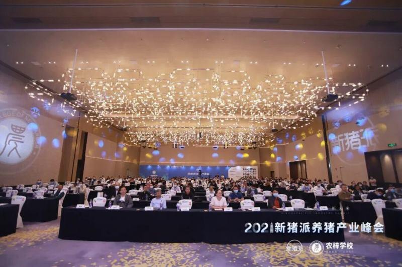 从“防非扩产”迈向“高效高质”，新猪派养猪产业峰会6年：200+参会猪企，1800+参会人数，覆盖行业人群100万+