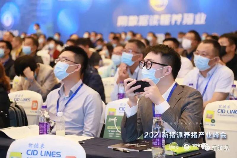 从“防非扩产”迈向“高效高质”，新猪派养猪产业峰会6年：200+参会猪企，1800+参会人数，覆盖行业人群100万+