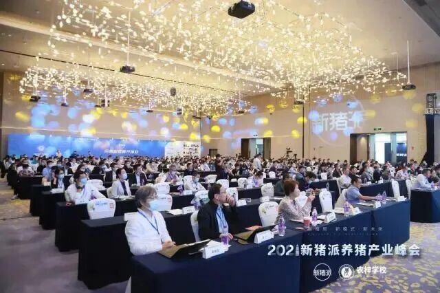 从“防非扩产”迈向“高效高质”，新猪派养猪产业峰会6年：200+参会猪企，1800+参会人数，覆盖行业人群100万+