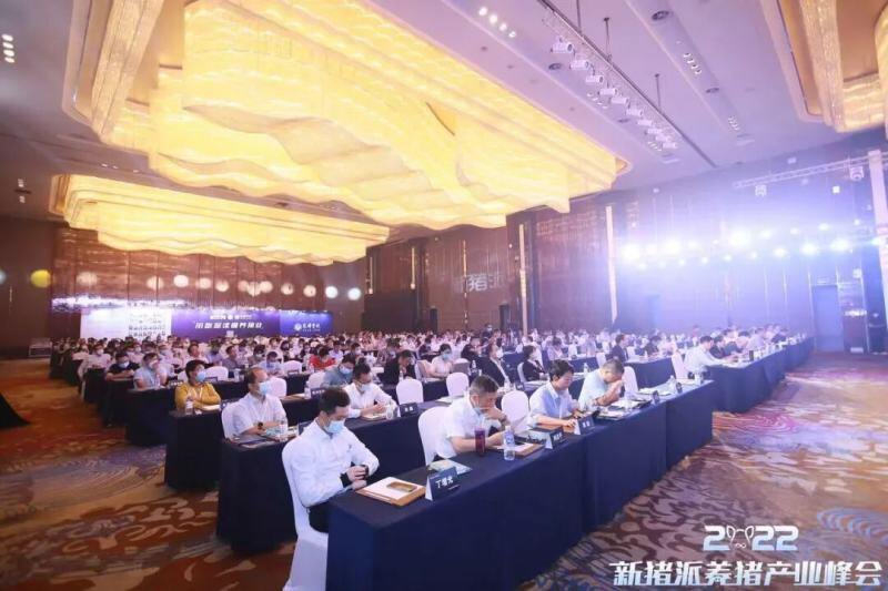 从“防非扩产”迈向“高效高质”，新猪派养猪产业峰会6年：200+参会猪企，1800+参会人数，覆盖行业人群100万+