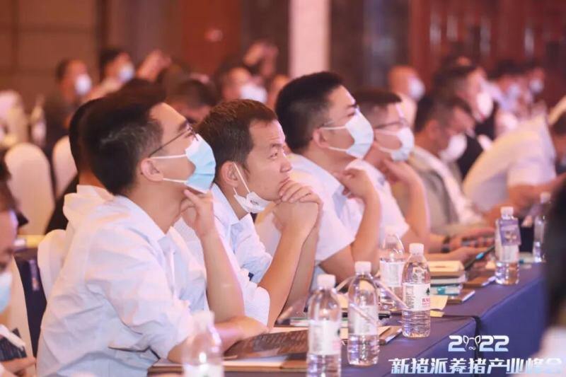 从“防非扩产”迈向“高效高质”，新猪派养猪产业峰会6年：200+参会猪企，1800+参会人数，覆盖行业人群100万+