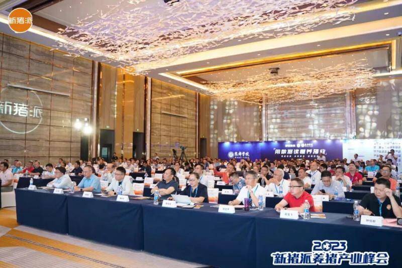 从“防非扩产”迈向“高效高质”，新猪派养猪产业峰会6年：200+参会猪企，1800+参会人数，覆盖行业人群100万+