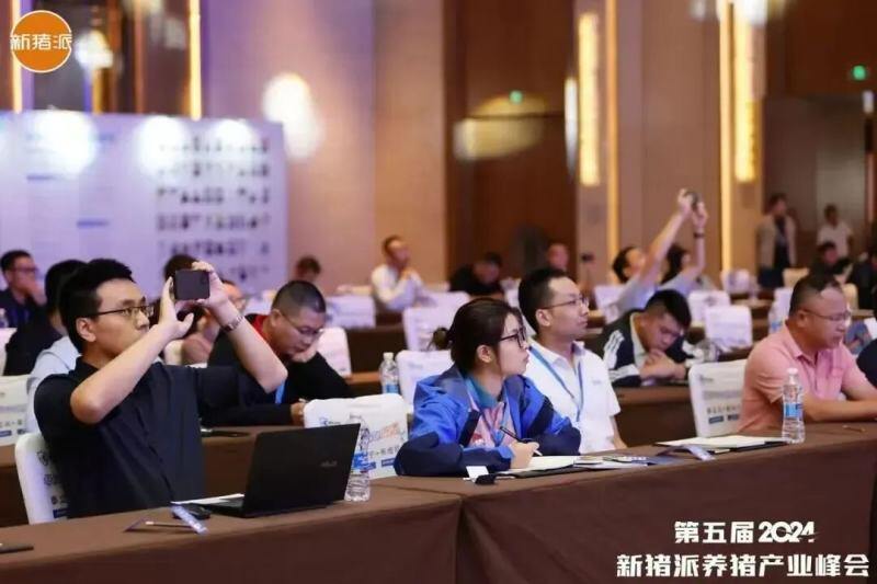 从“防非扩产”迈向“高效高质”，新猪派养猪产业峰会6年：200+参会猪企，1800+参会人数，覆盖行业人群100万+