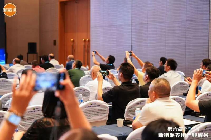 从“防非扩产”迈向“高效高质”，新猪派养猪产业峰会6年：200+参会猪企，1800+参会人数，覆盖行业人群100万+