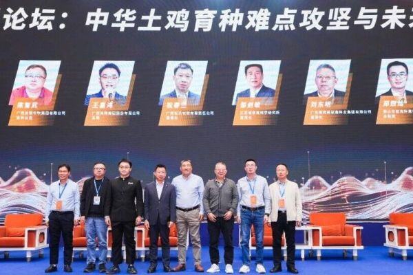 聚力破局！金陵、凤翔、祝氏、南海、粤凤、墟岗黄等共商中华土鸡育种攻坚与未来航向