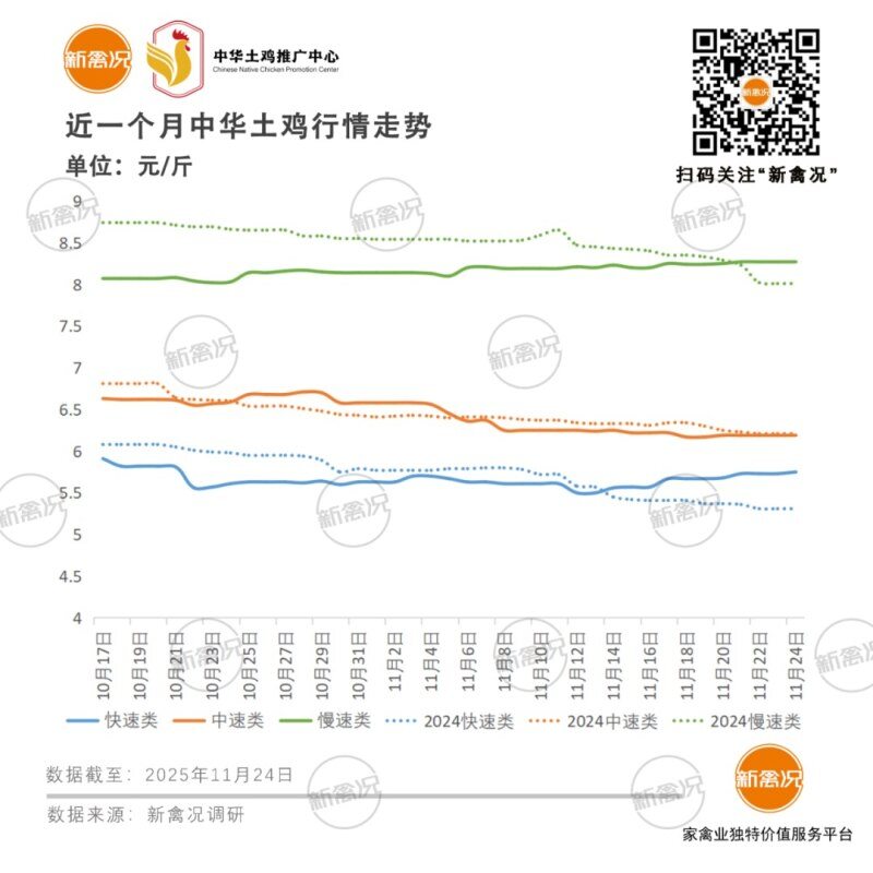土雞價格企穩回升，快速類月漲2%，苗市冰火兩重天