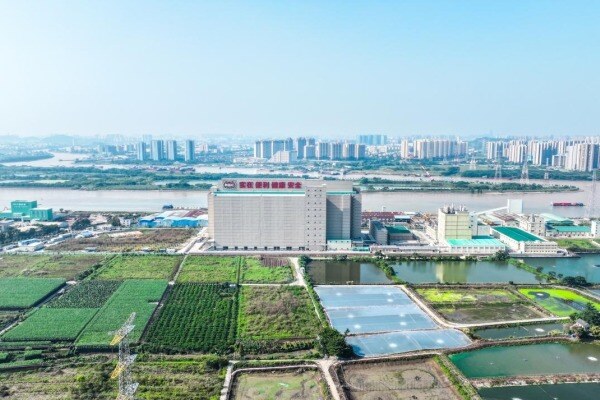 智慧养猪奏响 “大合唱”：从广西样本看数智技术如何普惠中小养殖户