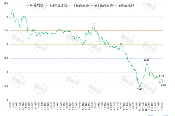 2025年第49周全国平均猪价走势图