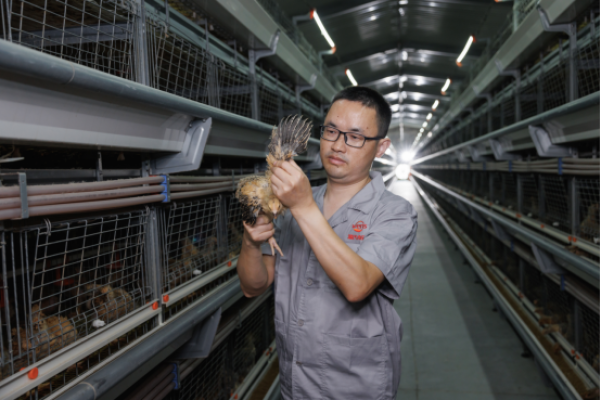 广东省2025年第二批首席技师名单揭晓 | 12人荣耀上榜