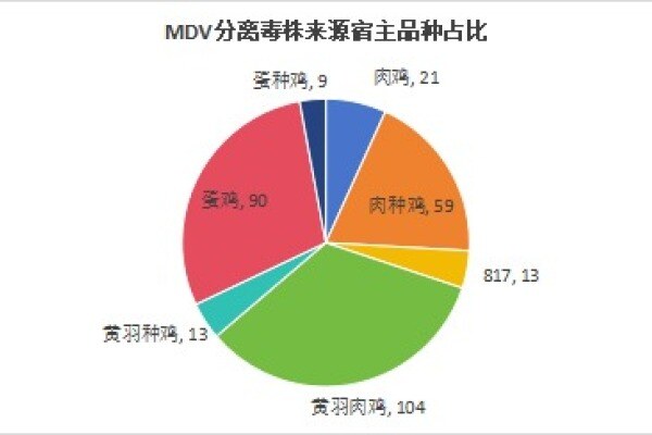 家禽马立克氏病（MDV）防控的深度思考——基于MD发病规律、流行现状与致病机制的系统剖析