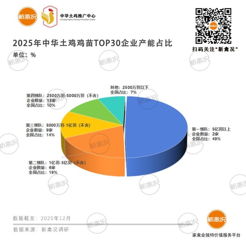 溫氏、立華引領！2025中華土雞雞苗TOP30企業市占率超90%，華南、華東成種源核心區