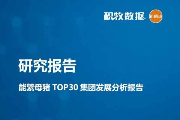 【研究报告】能繁母猪TOP30集团发展分析报告