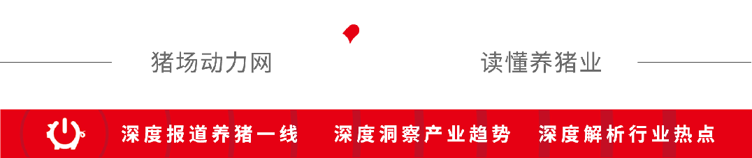 2026猪价拐点已确认！养户如何踩准补栏节奏？答案：年前补栏