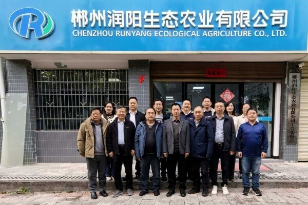 红色沃土育产业标杆！润阳农业获三大权威授牌，深耕绿色生猪养殖赛道