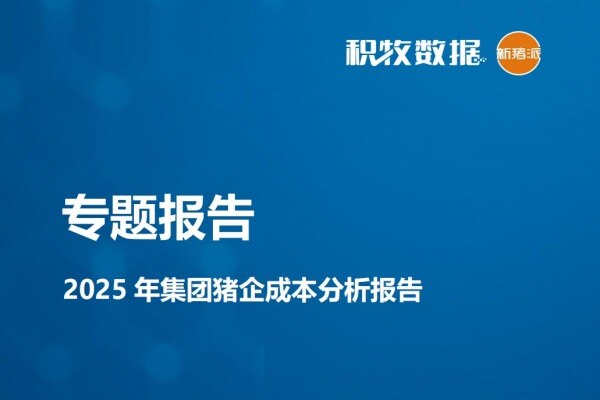 2025 年集团猪企成本分析报告