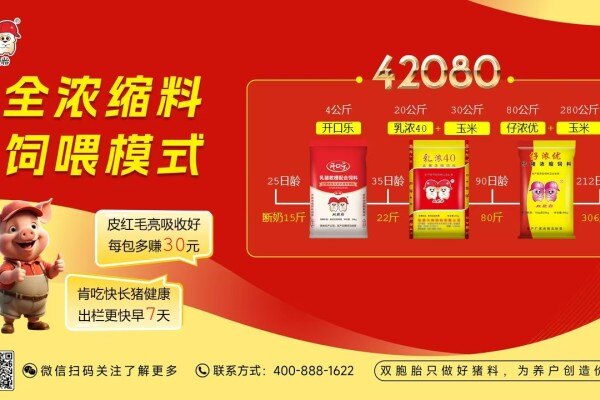 低猪价困局破局点：别让“省饲料”拖垮造肉成本，科学配比才是增效降本关键