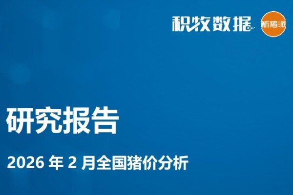 【研究报告】2026年2月全国猪价分析报告