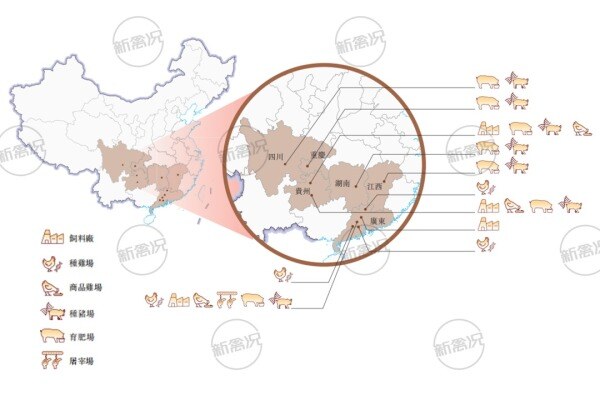 天农集团生产业务分布及屠宰产能情况