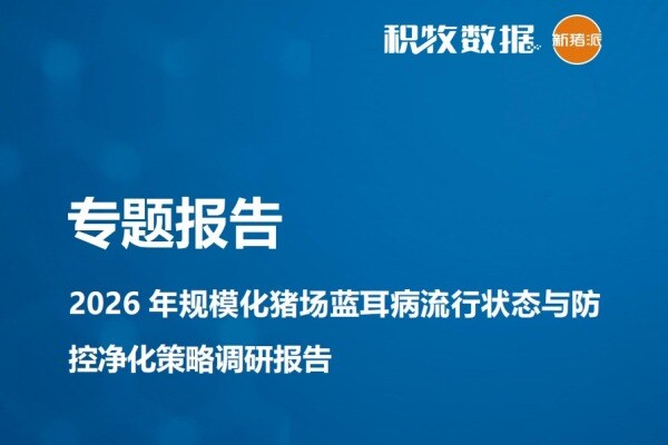 2026年规模化猪场蓝耳病流行状态与防控净化策略调研报告