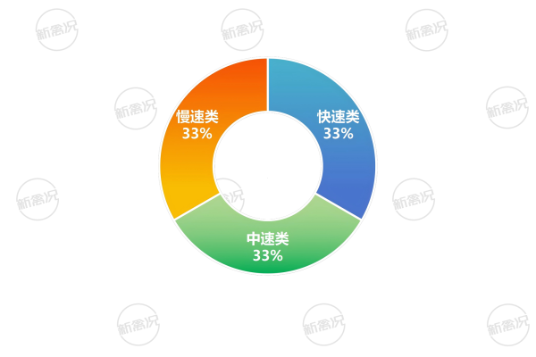 2026年湘佳快中慢速类土鸡养殖结构情况