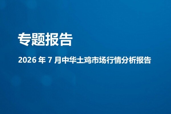 【鸡价专题】2026年7月中华土鸡市场行情分析