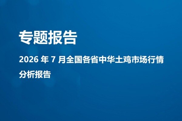 【鸡价专题】2026年7月全国各省中华土鸡市场行情分析