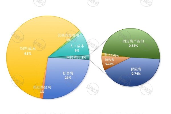 2024年全国中规模场肉猪养殖成本结构分析