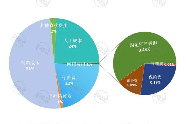 2024年全国散户肉猪养殖成本结构分析