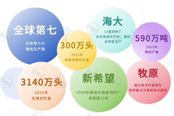 越南生猪产业信息图