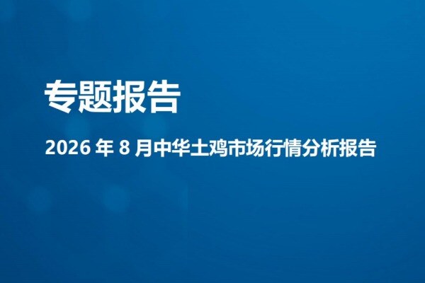 【鸡价专题】2026年8月中华土鸡市场行情分析