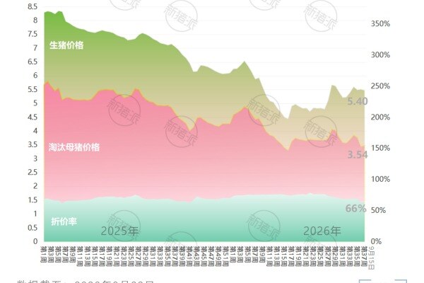 2026年第39周全国淘汰母猪、生猪平均价格及折价率走势图