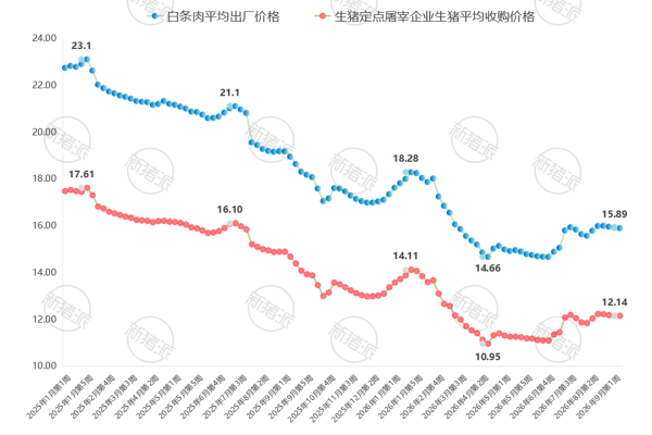 2026年9月第2周生猪定点屠宰企业生猪收购和白条肉价格