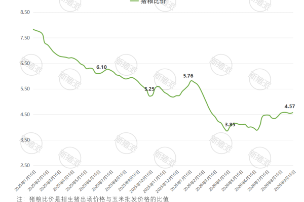 2026年9月第3周全国猪粮比价格
