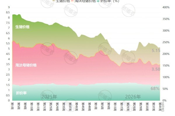2026年第41周全国淘汰母猪、生猪平均价格及折价率走势图