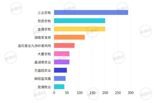湖南蛋鸡企业产能TOP10