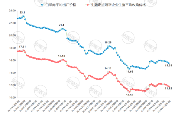 2026年10月第1周生猪定点屠宰企业生猪收购和白条肉价格