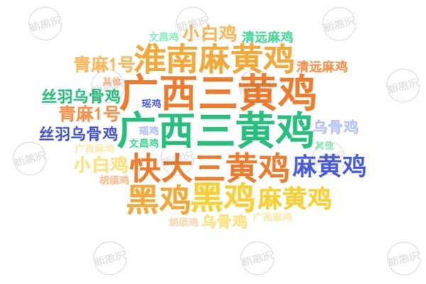 2025年温氏股份主要土鸡养殖品种情况