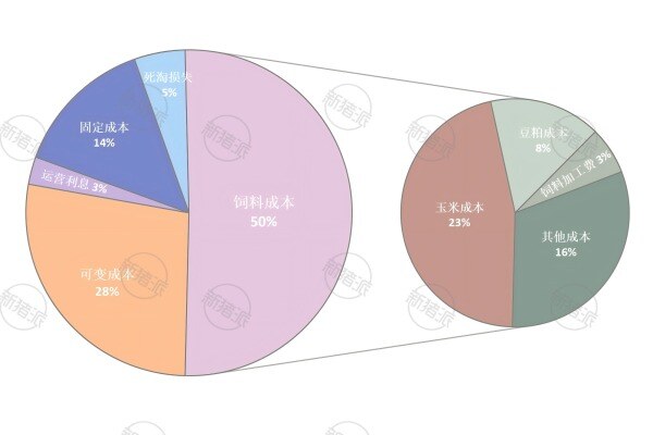 2025年美国肉猪养殖成本结构分析