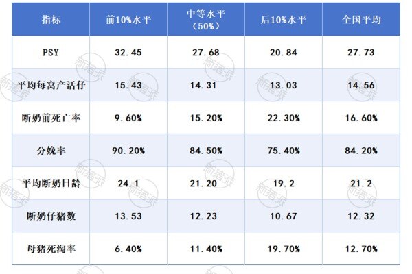 2025年美国生猪养殖核心生产指标分析