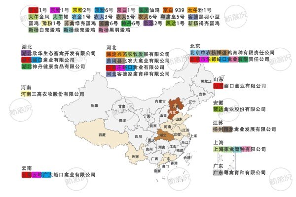 我国蛋鸡培育配套系祖代/父母代场分布图