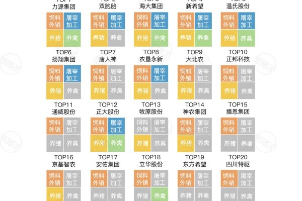 广西TOP20饲企产业链布局