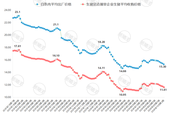 2026年10月第3周生猪定点屠宰企业生猪收购和白条肉价格
