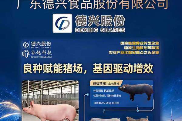 特别协办单位 【德兴股份】 与您相约第七届（2026）新猪派养猪产业峰会
