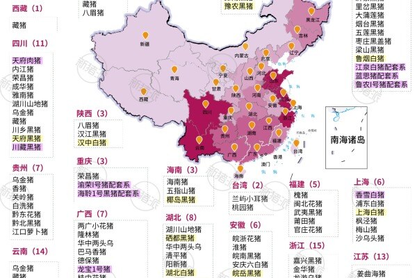 全国生猪遗传资源品种分布图