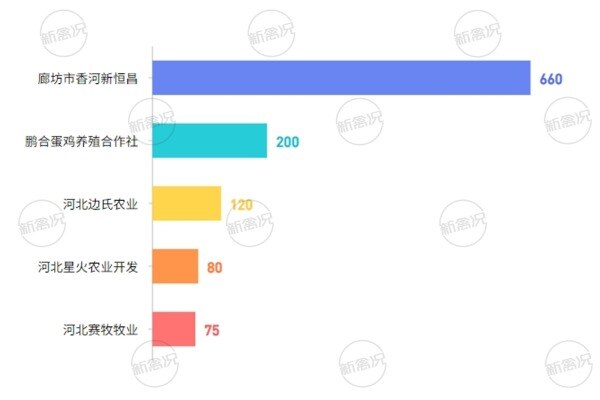 河北省蛋鸡产能top5企业